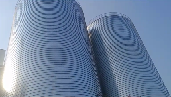 哈尔滨2座混凝土高架卷板仓